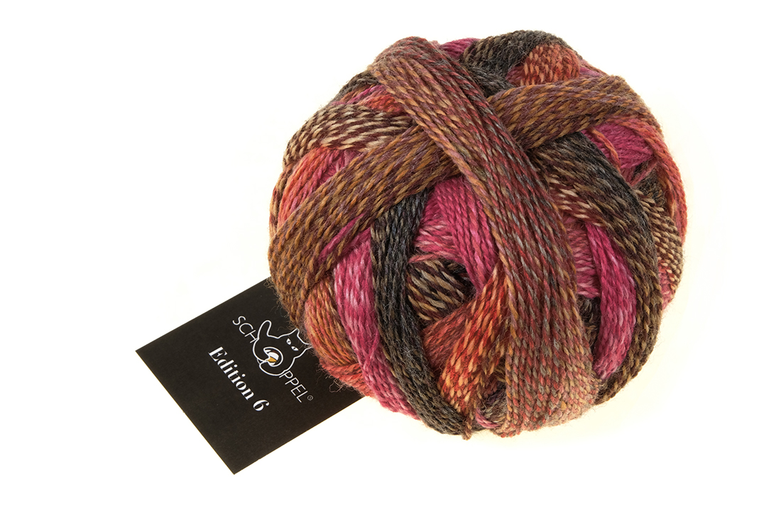Multicolore Schoppel-Wolle Edition 6 Jardin Anglais 