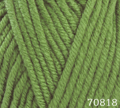 Main 70818