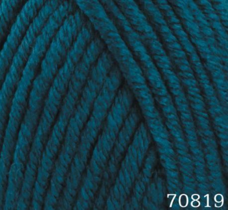Main 70819