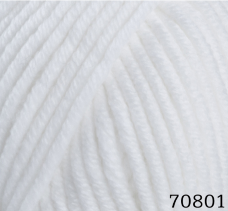 Main 70801