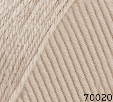 Main 70020