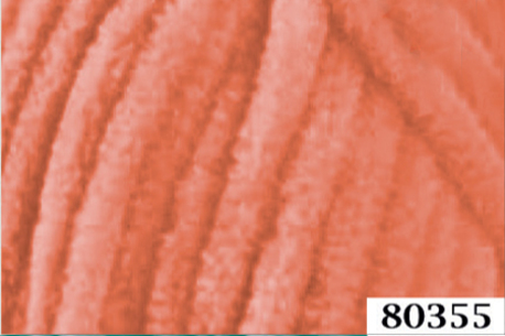 Main 80355