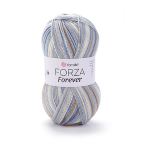 Main forza forever 2713  1 