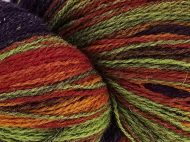 AADE LONG 8/2 CARNIVAL - Image 2