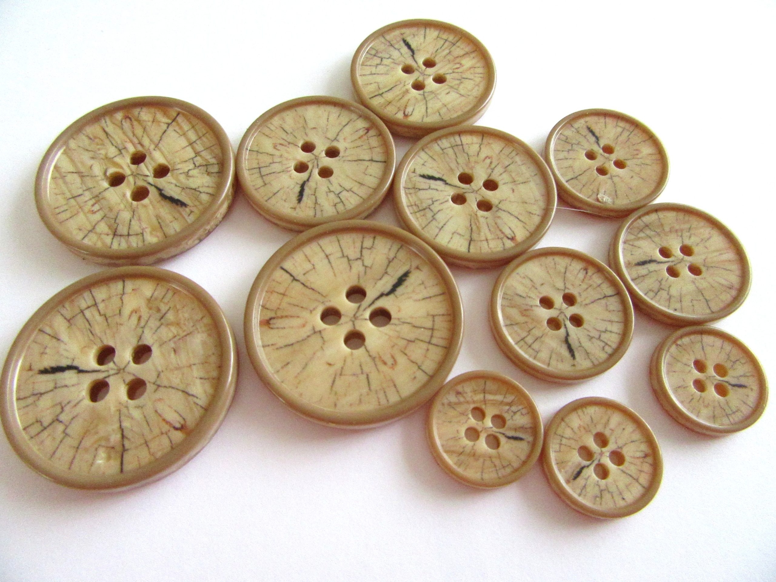 IMG_9260 BUTTON 3810 - Image 1