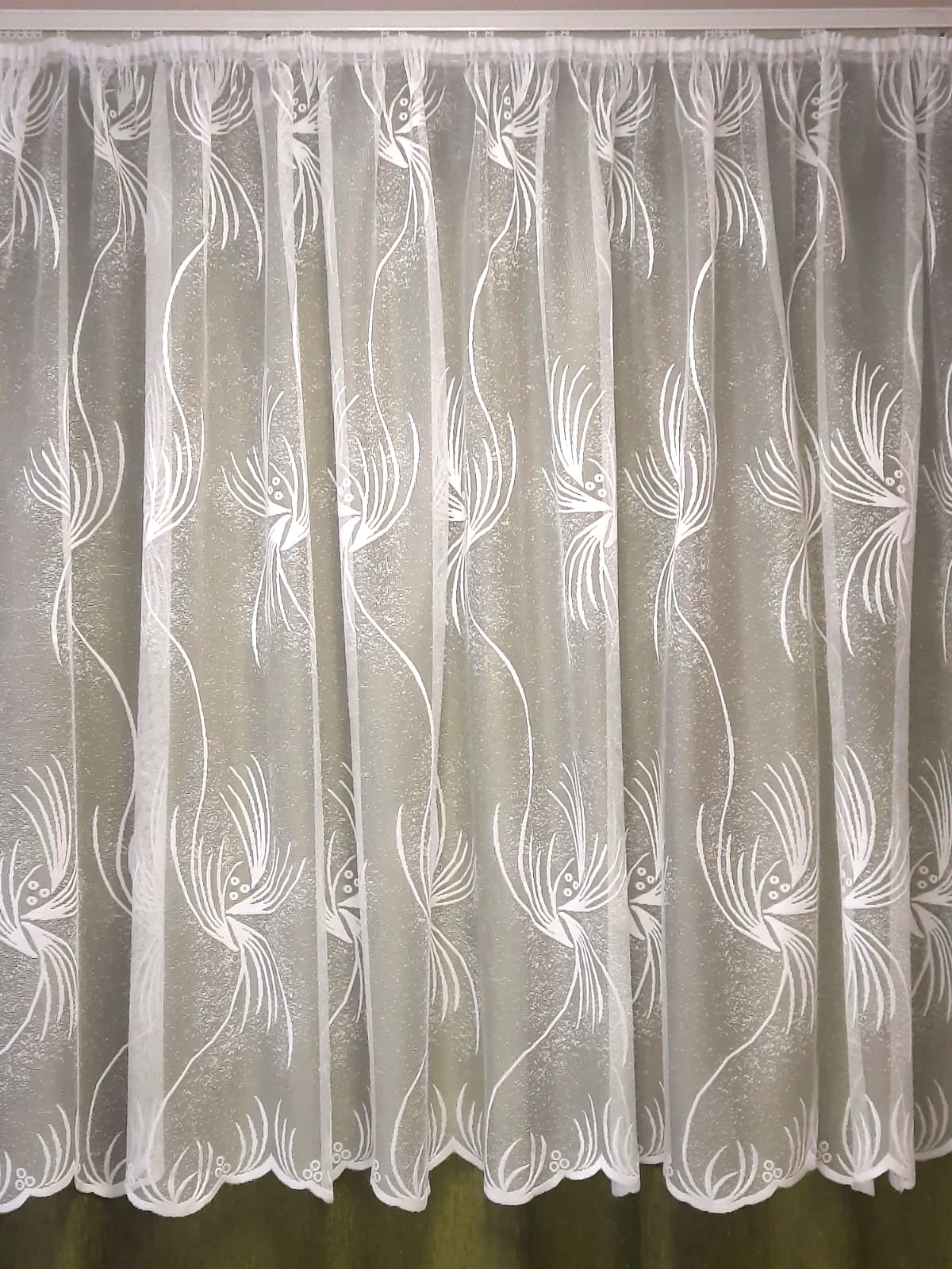 107044 DAY CURTAINS 107044 - Image 1