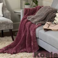 HIMALAYA KOALA - Image 3