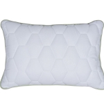 aloe vera memory pillow product